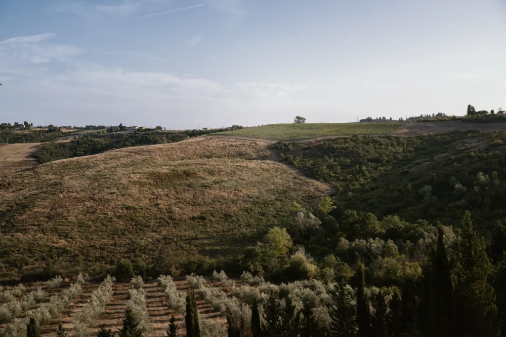 Wedding Photographer in Tuscany: Natasa e Michael's story 99 andrea corridori wedding photographer tuscany borgodivino 141
