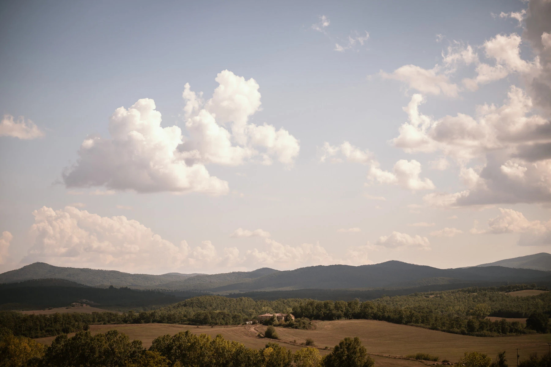 Wedding at San Galgano Abbey in Tuscany 108 andrea corridori wedding photographer tuscany san gimignano 5780