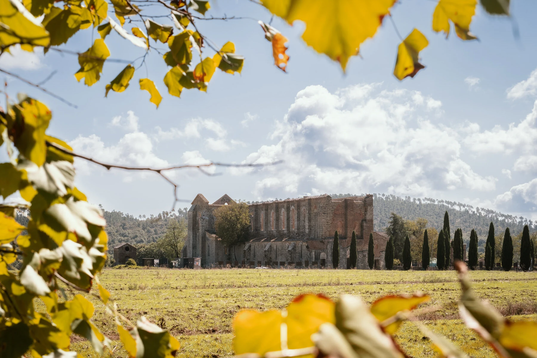 Wedding at San Galgano Abbey in Tuscany 37 andrea corridori wedding photographer tuscany san gimignano 8004