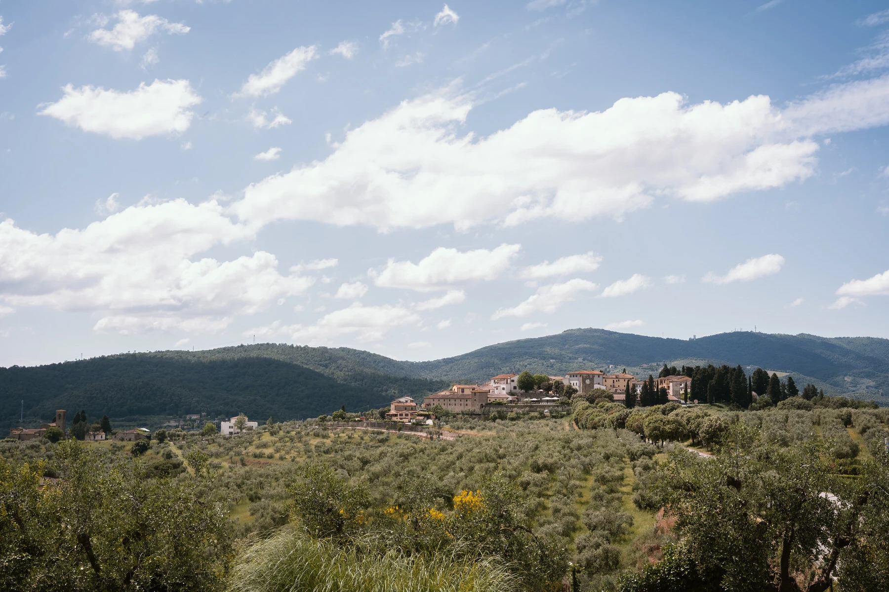 Wedding at Villa Artimino – Tuscany Photographer 35 FDOM9623