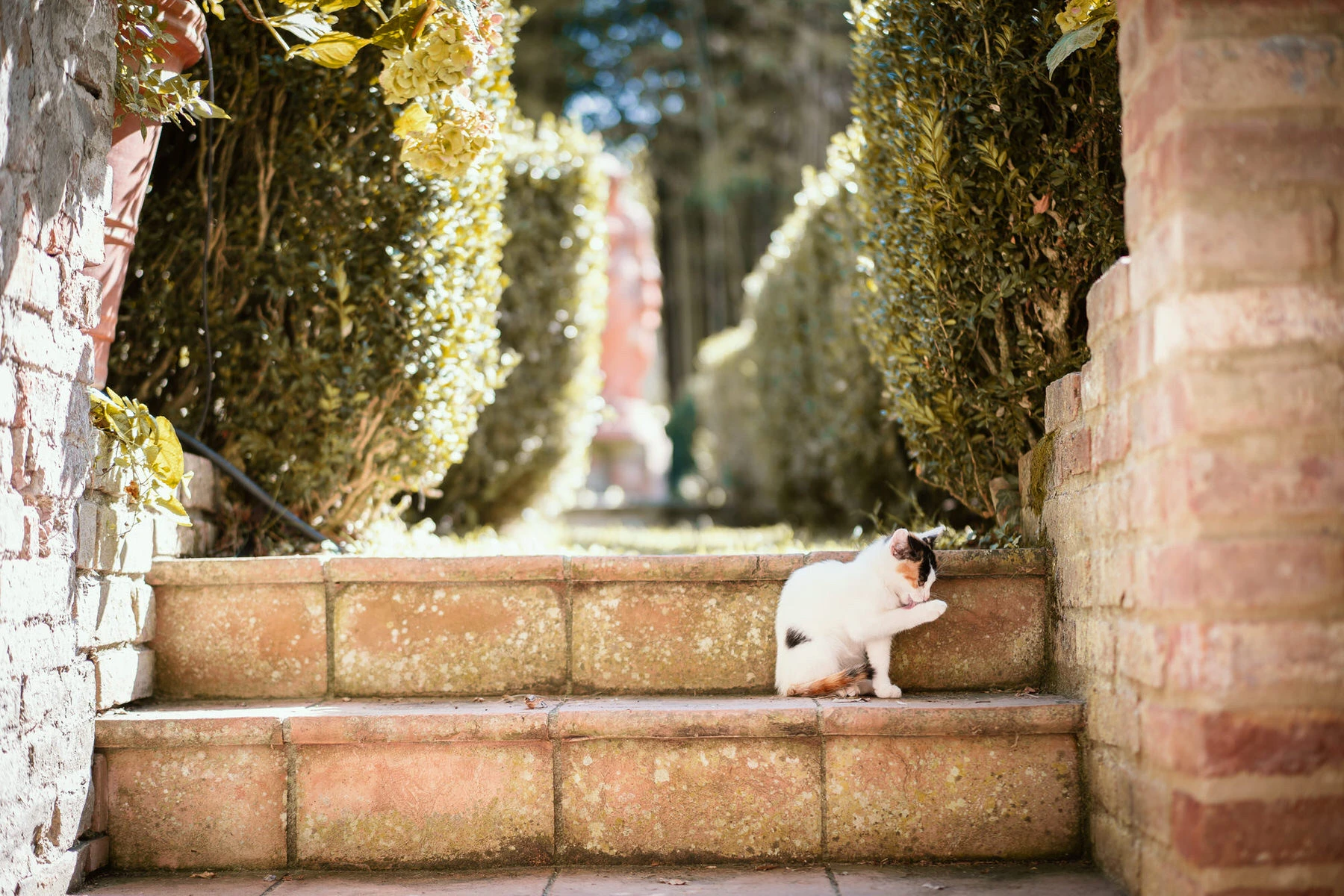 Wedding Photographer in Val d'Orcia: Sanni and Ilari’s Magical Day 53 wedding tuscany photographer valdorcia