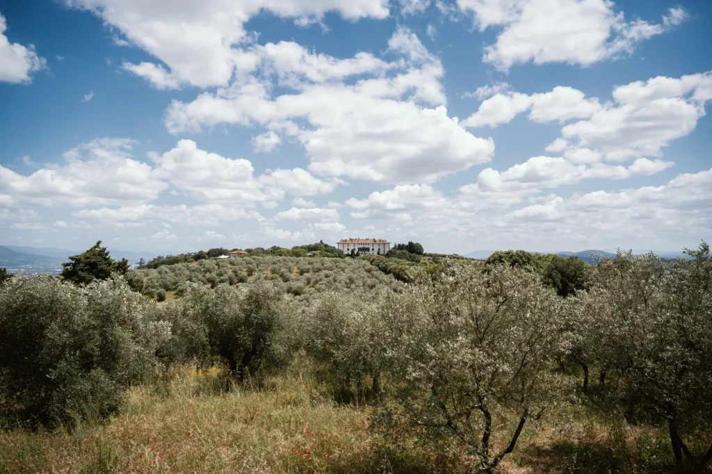 Wedding Photography at Tenuta di Artimino Sophie and Alex DSC6439